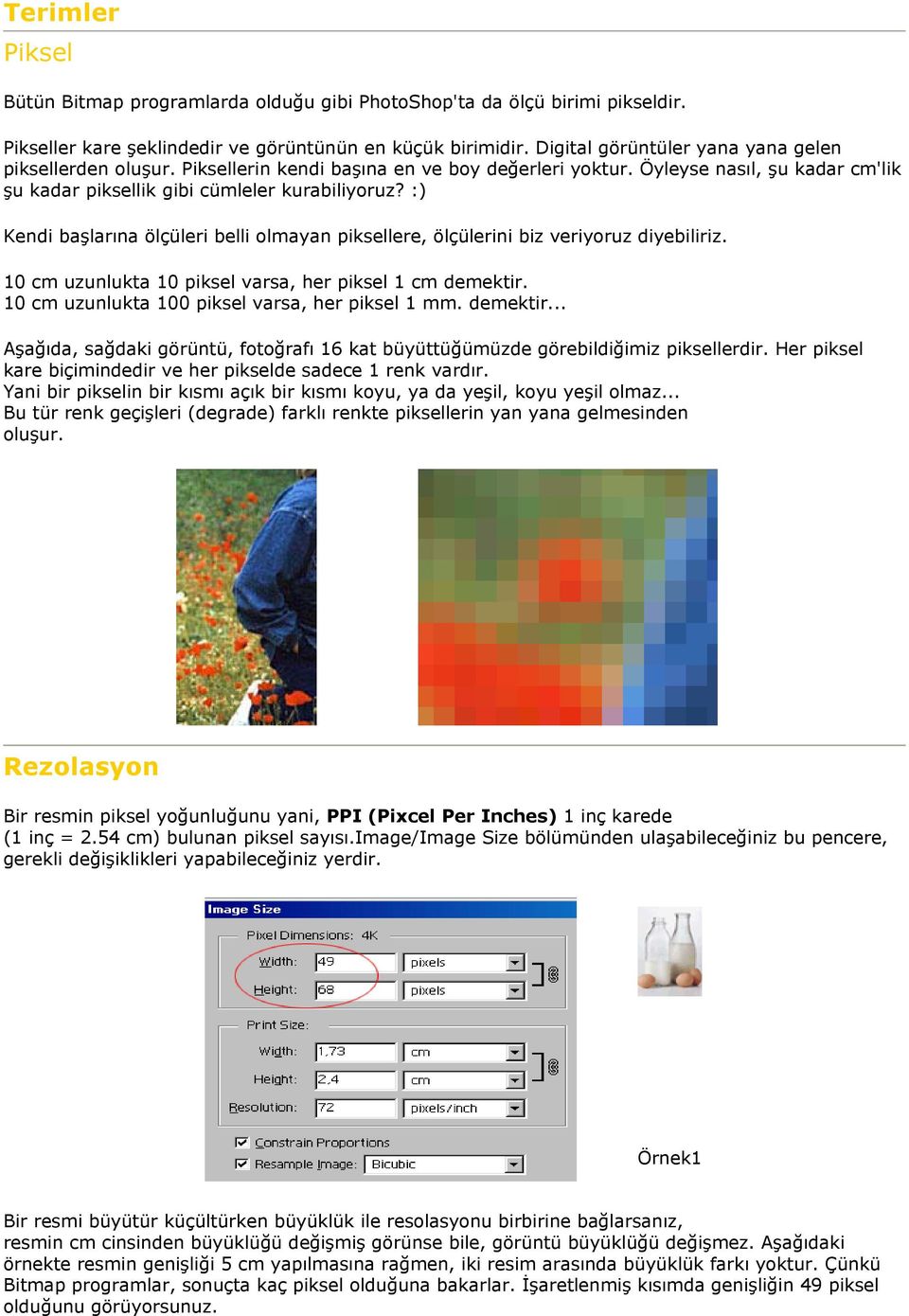 :) Kendi başlarına ölçüleri belli olmayan piksellere, ölçülerini biz veriyoruz diyebiliriz. 10 cm uzunlukta 10 piksel varsa, her piksel 1 cm demektir.