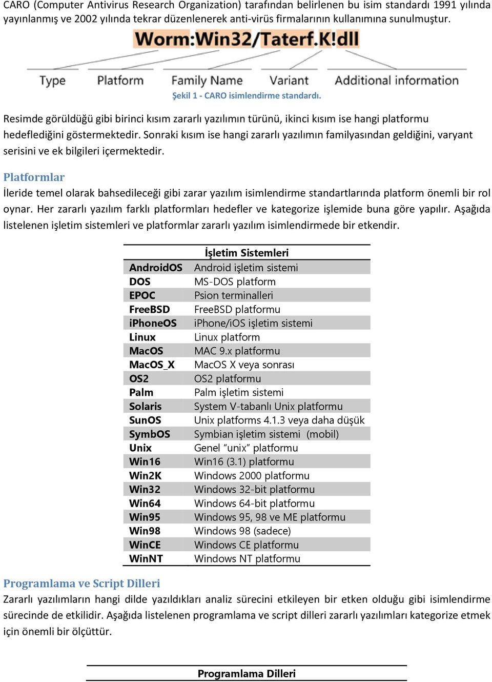 Sonraki kısım ise hangi zararlı yazılımın familyasından geldiğini, varyant serisini ve ek bilgileri içermektedir.