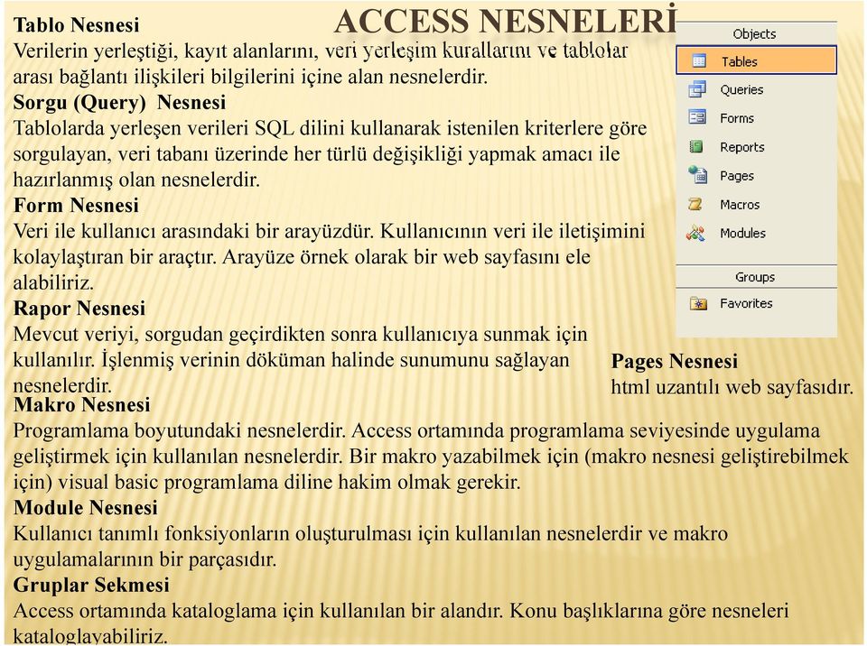 nesnelerdir. Form Nesnesi Veri ile kullanıcı arasındaki bir arayüzdür. Kullanıcının veri ile iletişimini kolaylaştıran bir araçtır. Arayüze örnek olarak bir web sayfasını ele alabiliriz.