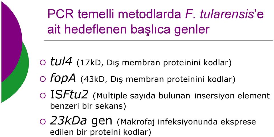 proteinini kodlar) fopa (43kD, Dış membran proteinini kodlar) ISFtu2