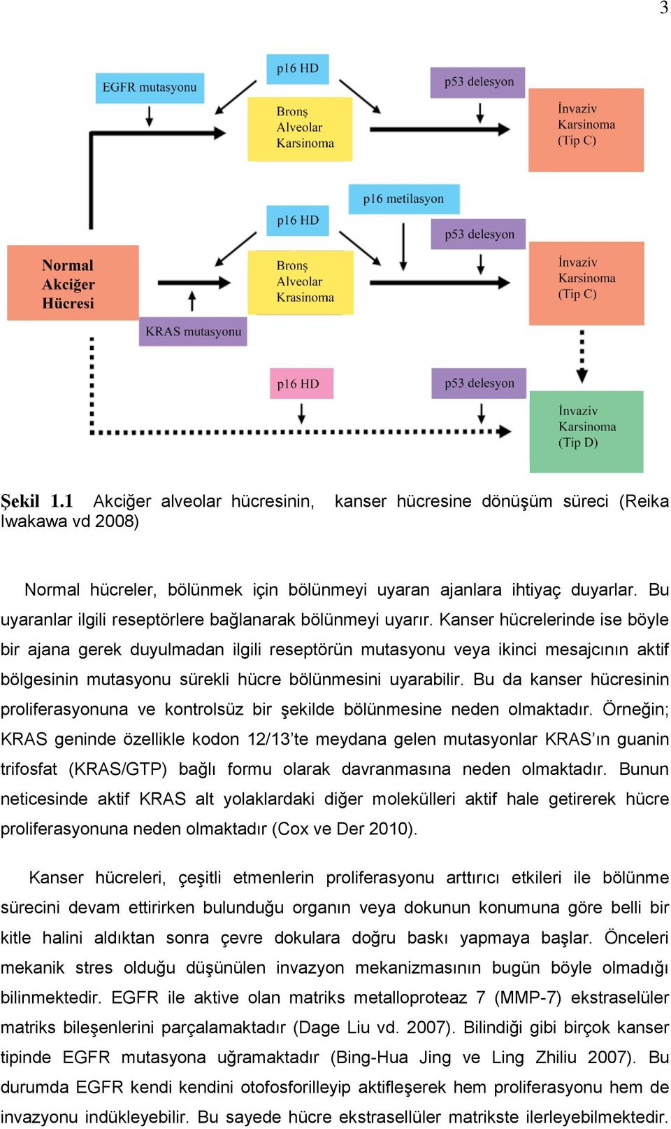 Kanser hücrelerinde ise böyle bir ajana gerek duyulmadan ilgili reseptörün mutasyonu veya ikinci mesajcının aktif bölgesinin mutasyonu sürekli hücre bölünmesini uyarabilir.