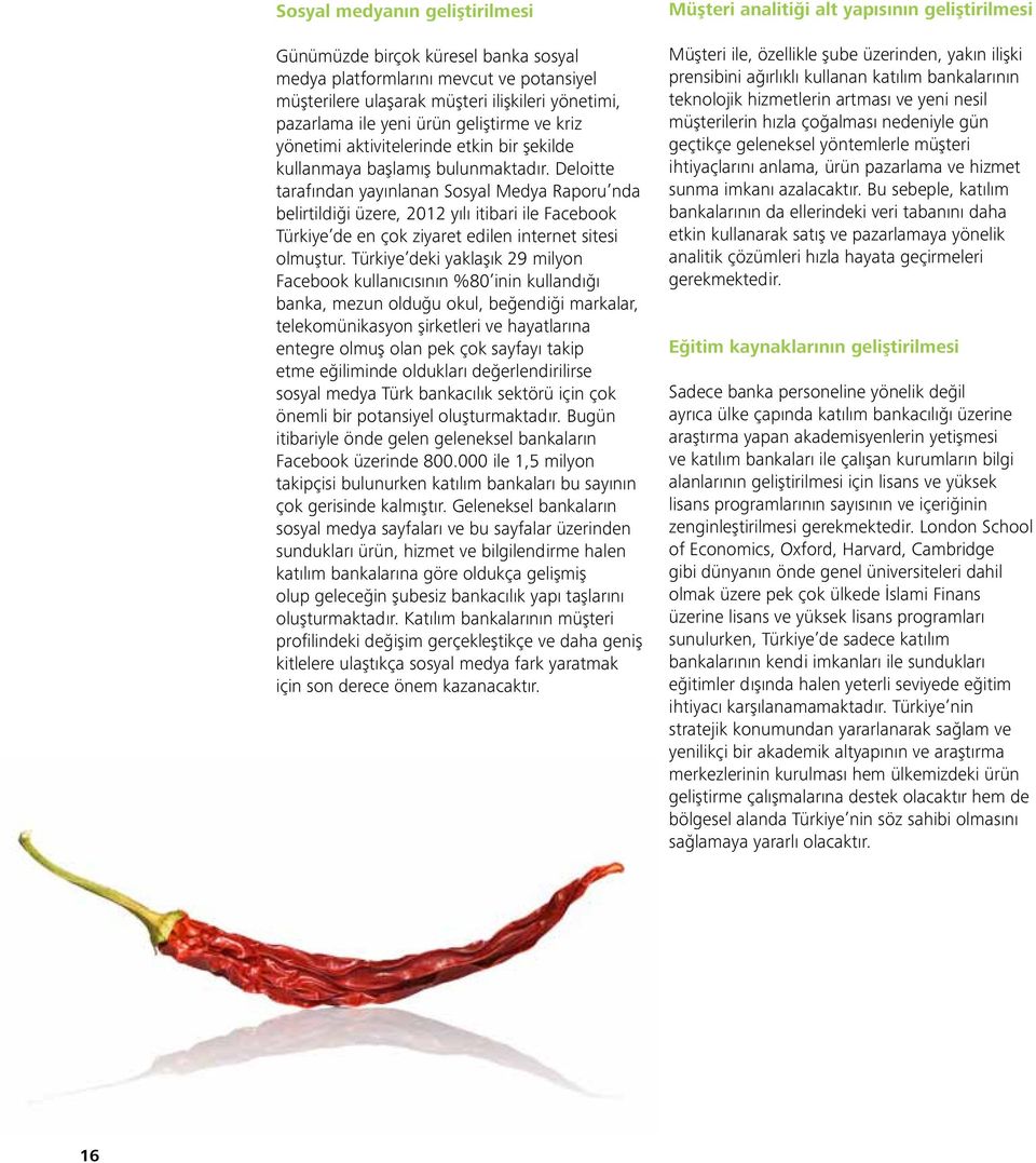 Deloitte tarafından yayınlanan Sosyal Medya Raporu nda belirtildiği üzere, 2012 yılı itibari ile Facebook Türkiye de en çok ziyaret edilen internet sitesi olmuştur.