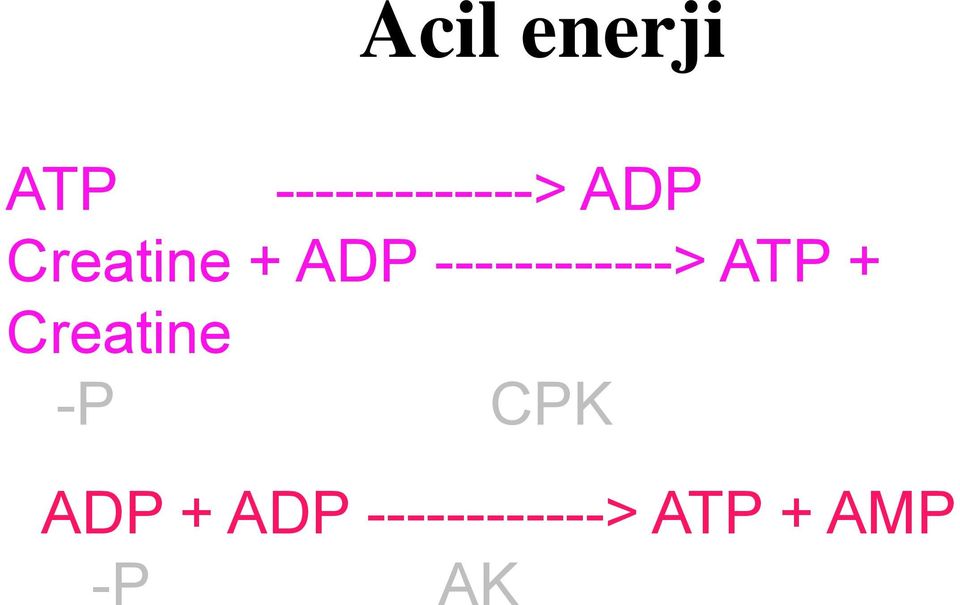 ------------> ATP + Creatine -P