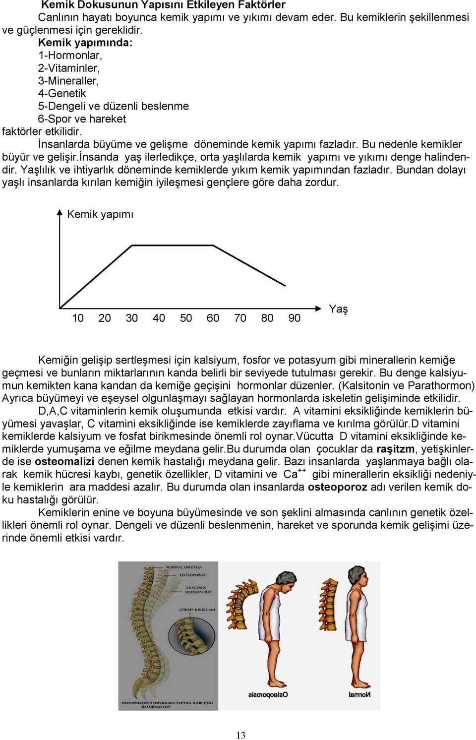 Bu nedenle kemikler büyür ve gelişir.insanda yaş ilerledikçe, orta yaşlılarda kemik yapımı ve yıkımı denge halindendir. Yaşlılık ve ihtiyarlık döneminde kemiklerde yıkım kemik yapımından fazladır.