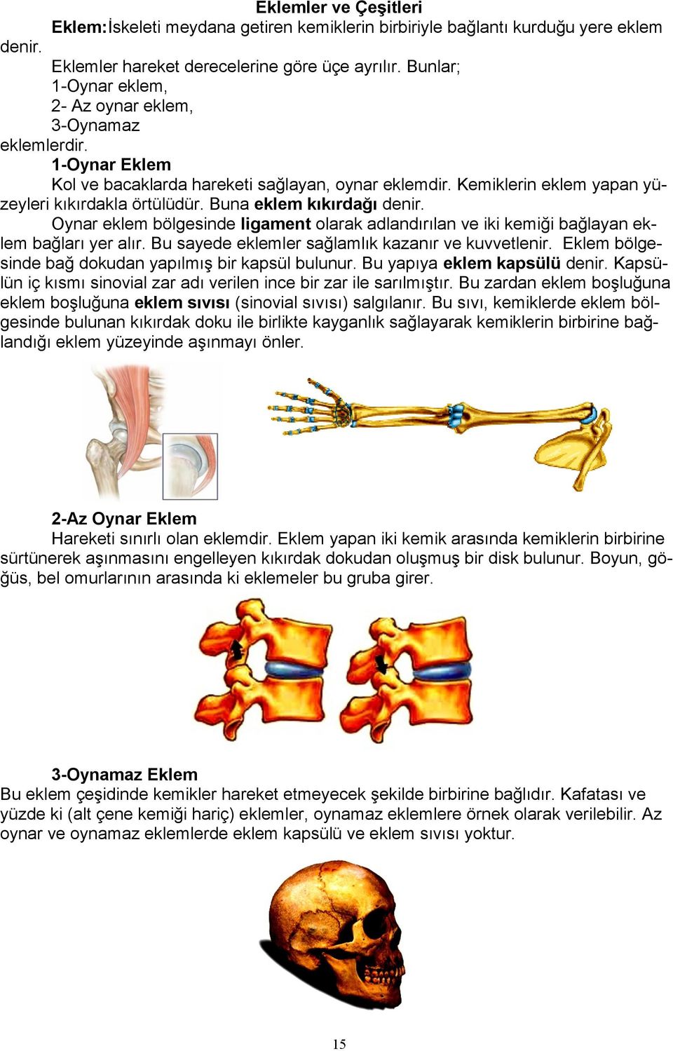 Buna eklem kıkırdağı denir. Oynar eklem bölgesinde ligament olarak adlandırılan ve iki kemiği bağlayan eklem bağları yer alır. Bu sayede eklemler sağlamlık kazanır ve kuvvetlenir.