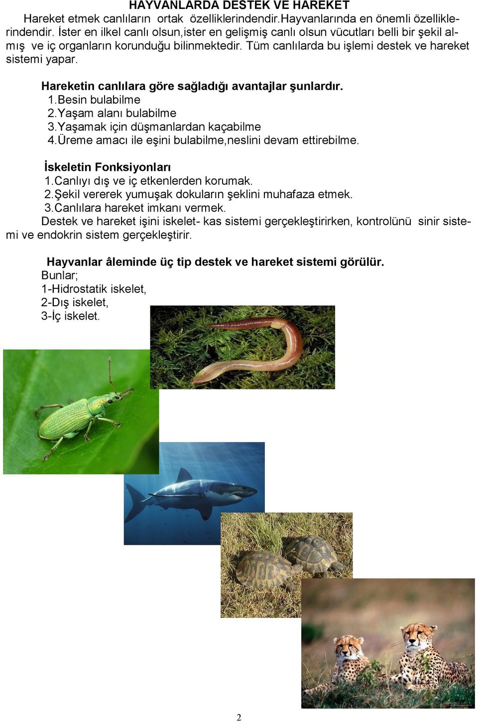 Hareketin canlılara göre sağladığı avantajlar şunlardır. 1.Besin bulabilme 2.Yaşam alanı bulabilme 3.Yaşamak için düşmanlardan kaçabilme 4.Üreme amacı ile eşini bulabilme,neslini devam ettirebilme.