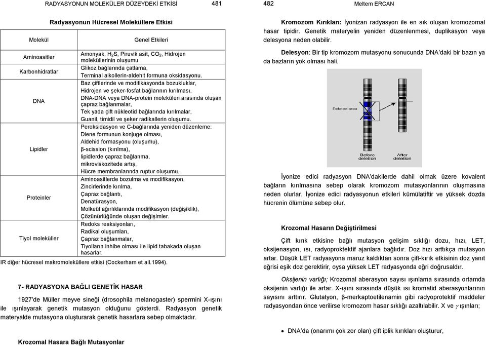 Baz çiftlerinde ve modifikasyonda bozukluklar, Hidrojen ve şeker-fosfat bağlarının kırılması, DNA-DNA veya DNA-protein moleküleri arasında oluşan çapraz bağlanmalar, Tek yada çift nükleotid