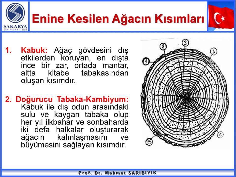 kitabe tabakasından oluşan kısımdır. 2.