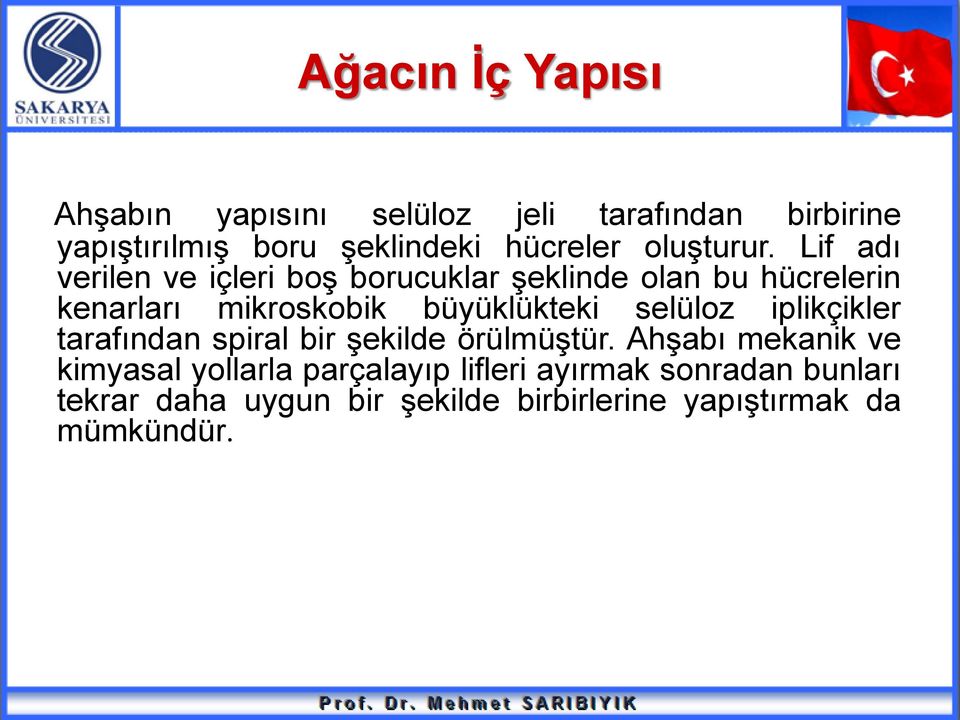 Lif adı verilen ve içleri boş borucuklar şeklinde olan bu hücrelerin kenarları mikroskobik büyüklükteki