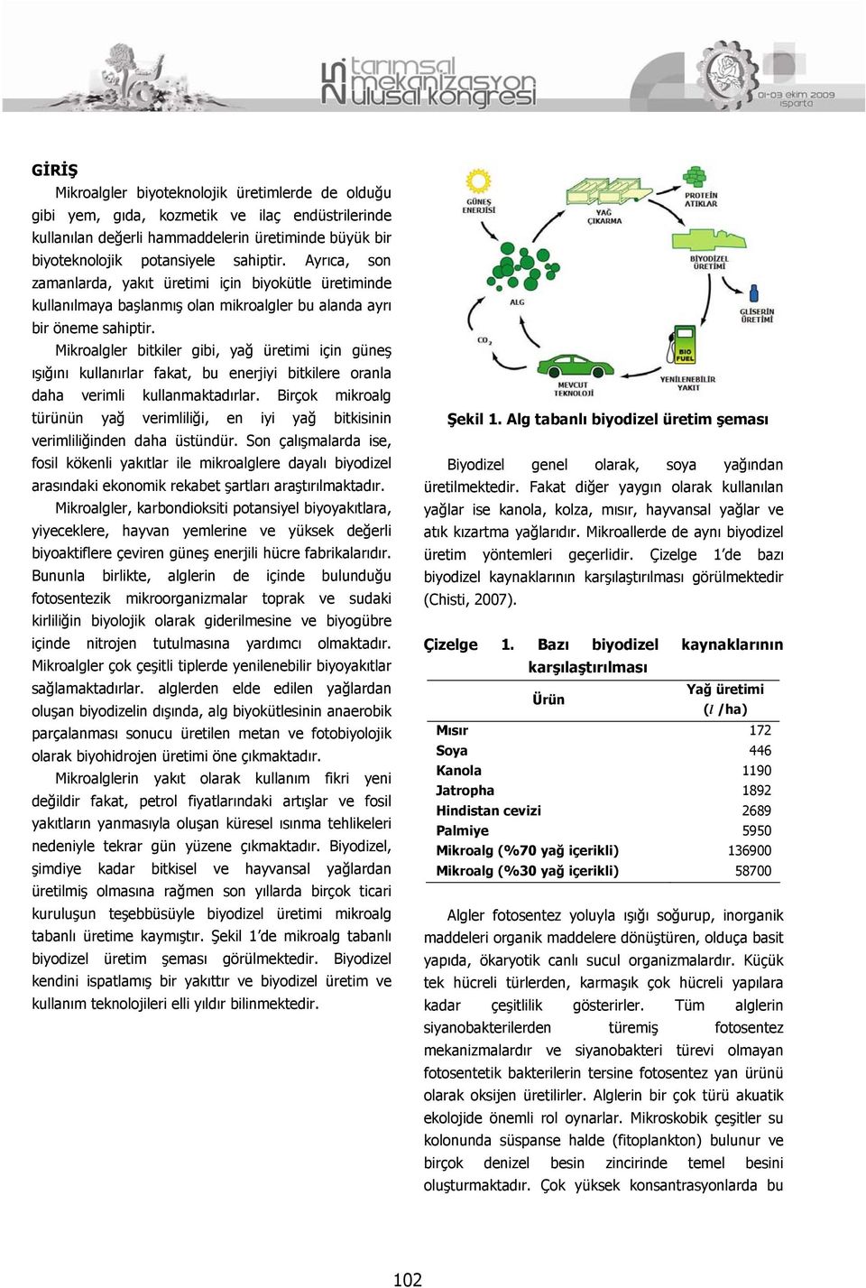 Mikroalgler bitkiler gibi, yağ üretimi için güneş ışığını kullanırlar fakat, bu enerjiyi bitkilere oranla daha verimli kullanmaktadırlar.