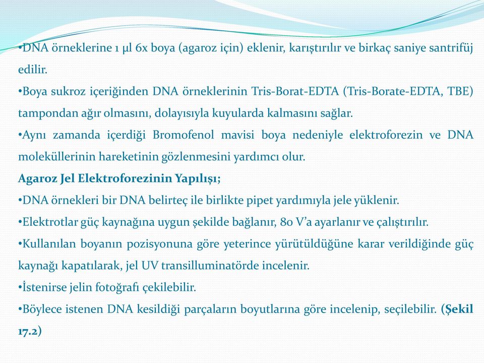 Aynı zamanda içerdiği Bromofenol mavisi boya nedeniyle elektroforezin ve DNA moleküllerinin hareketinin gözlenmesini yardımcı olur.