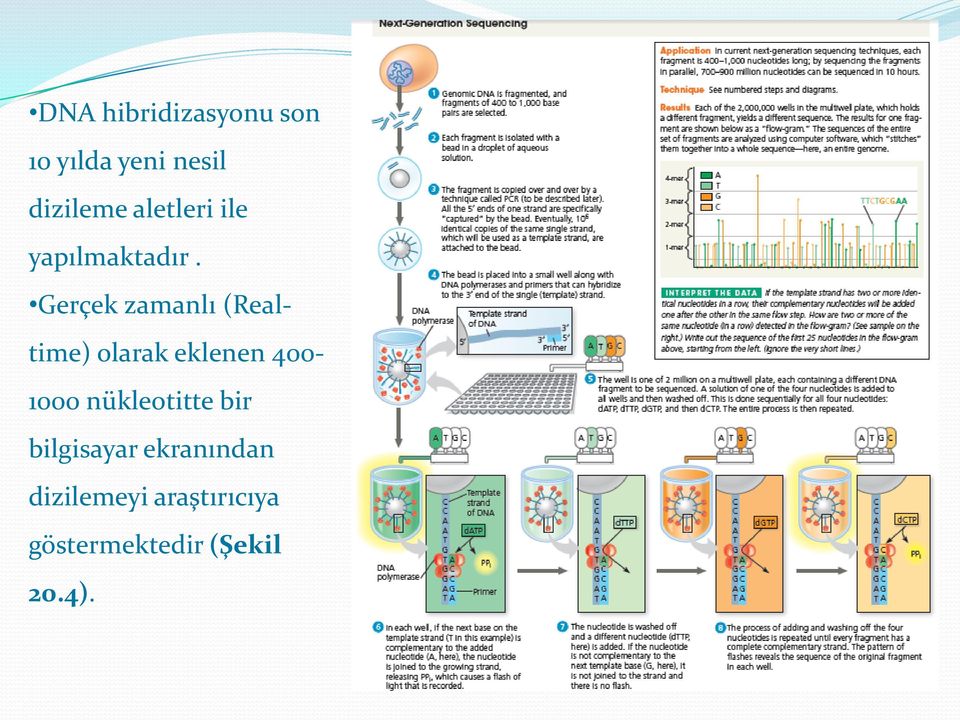 Gerçek zamanlı (Realtime) olarak eklenen 400-1000