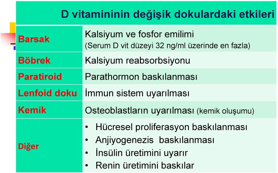 Lenfoid doku İmmun sistem uyarılması Kemik Diğer Osteoblastların uyarılması (kemik oluşumu)