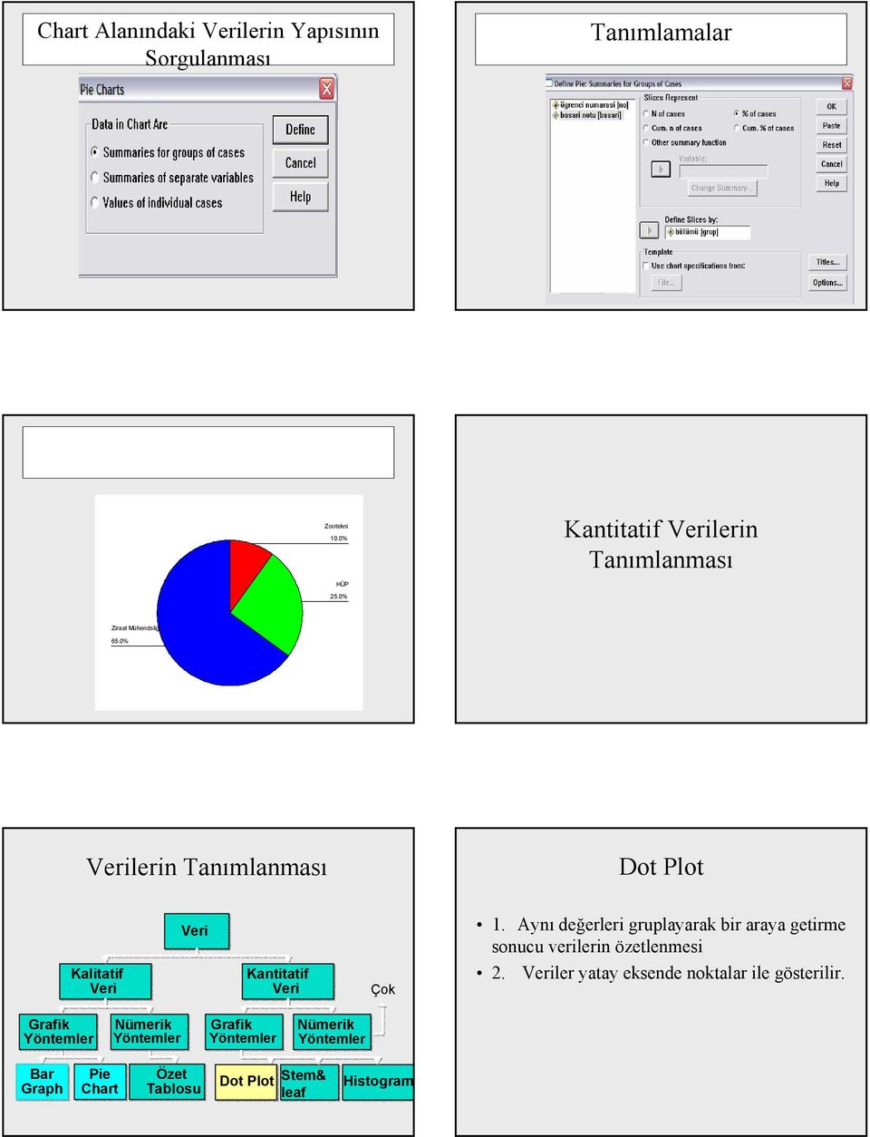 0% lerin Tanımlanması Dot Plot Kalitatif Kantitatif Çok 1.