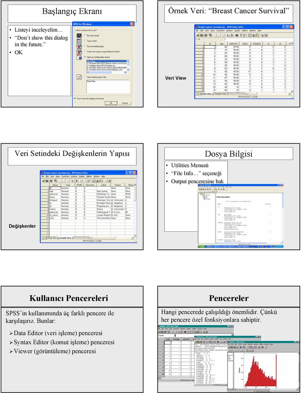 Kullanıcı Pencereleri SPSS in kullanımında üç farklı pencere ile karşılaşırız.