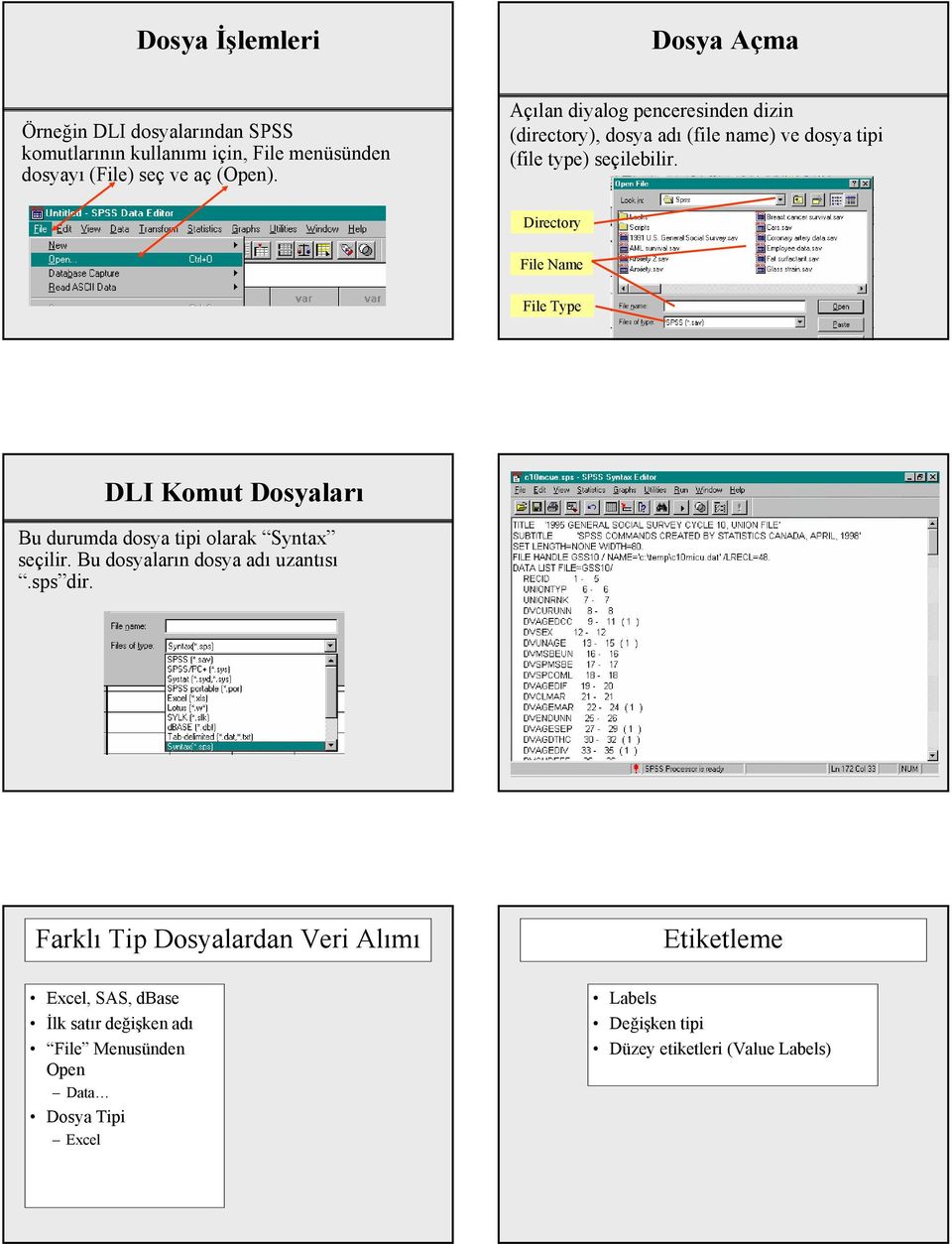 Directory File Name File Type DLI Komut Dosyaları Bu durumda dosya tipi olarak Syntax seçilir. Bu dosyaların dosya adı uzantısı.sps dir.