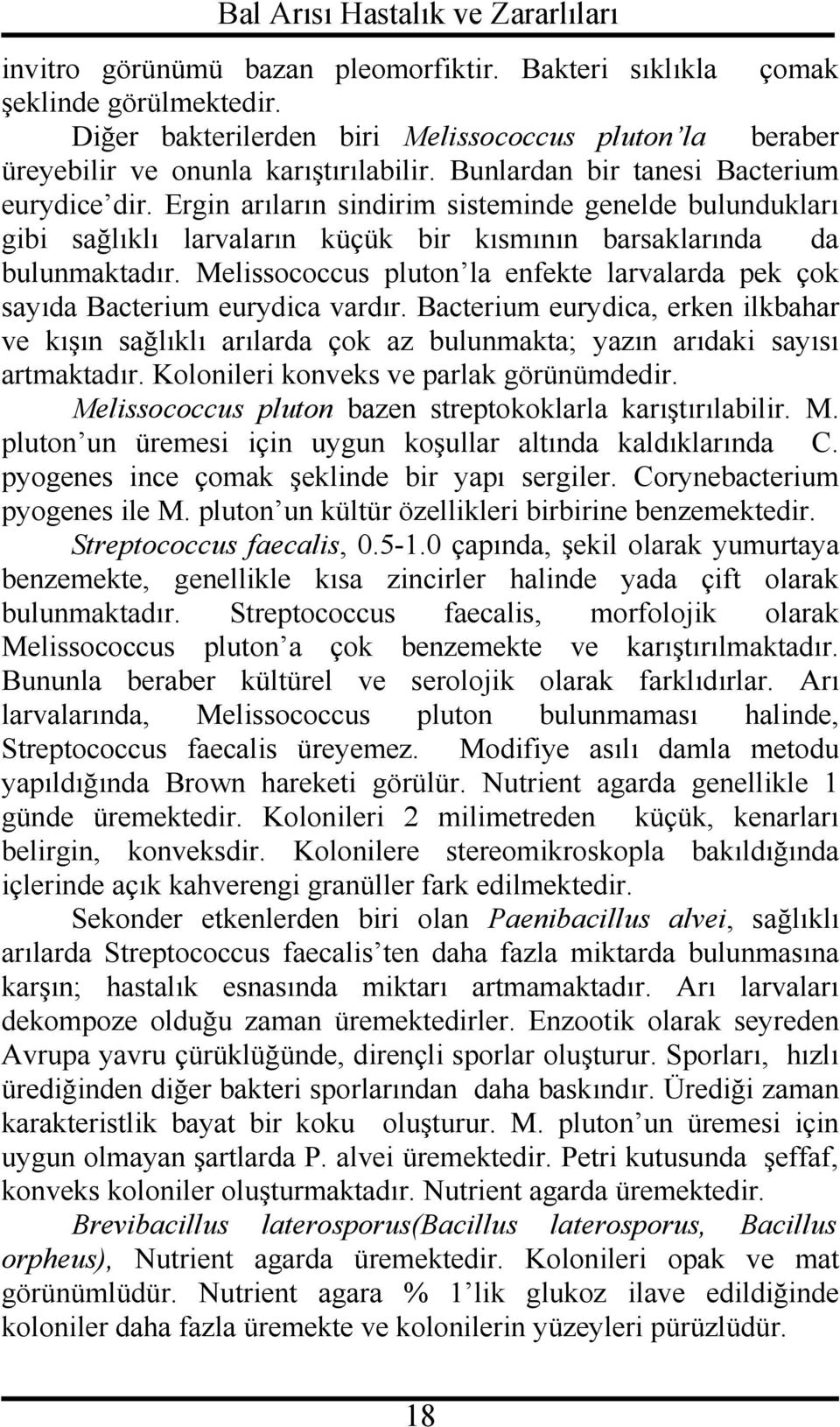 Melissococcus pluton la enfekte larvalarda pek çok sayıda Bacterium eurydica vardır. Bacterium eurydica, erken ilkbahar ve kışın sağlıklı arılarda çok az bulunmakta; yazın arıdaki sayısı artmaktadır.