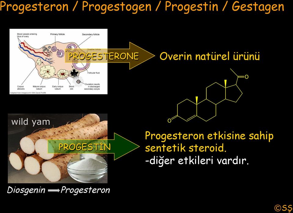 PROGESTİN O Progesteron etkisine sahip sentetik