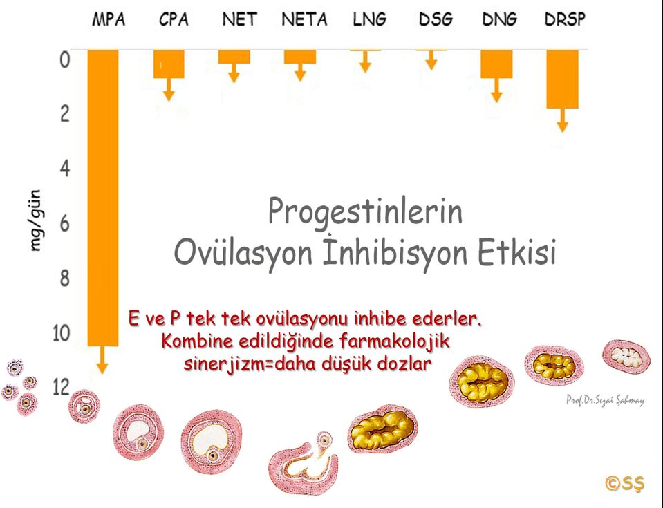 Kombine edildiğinde