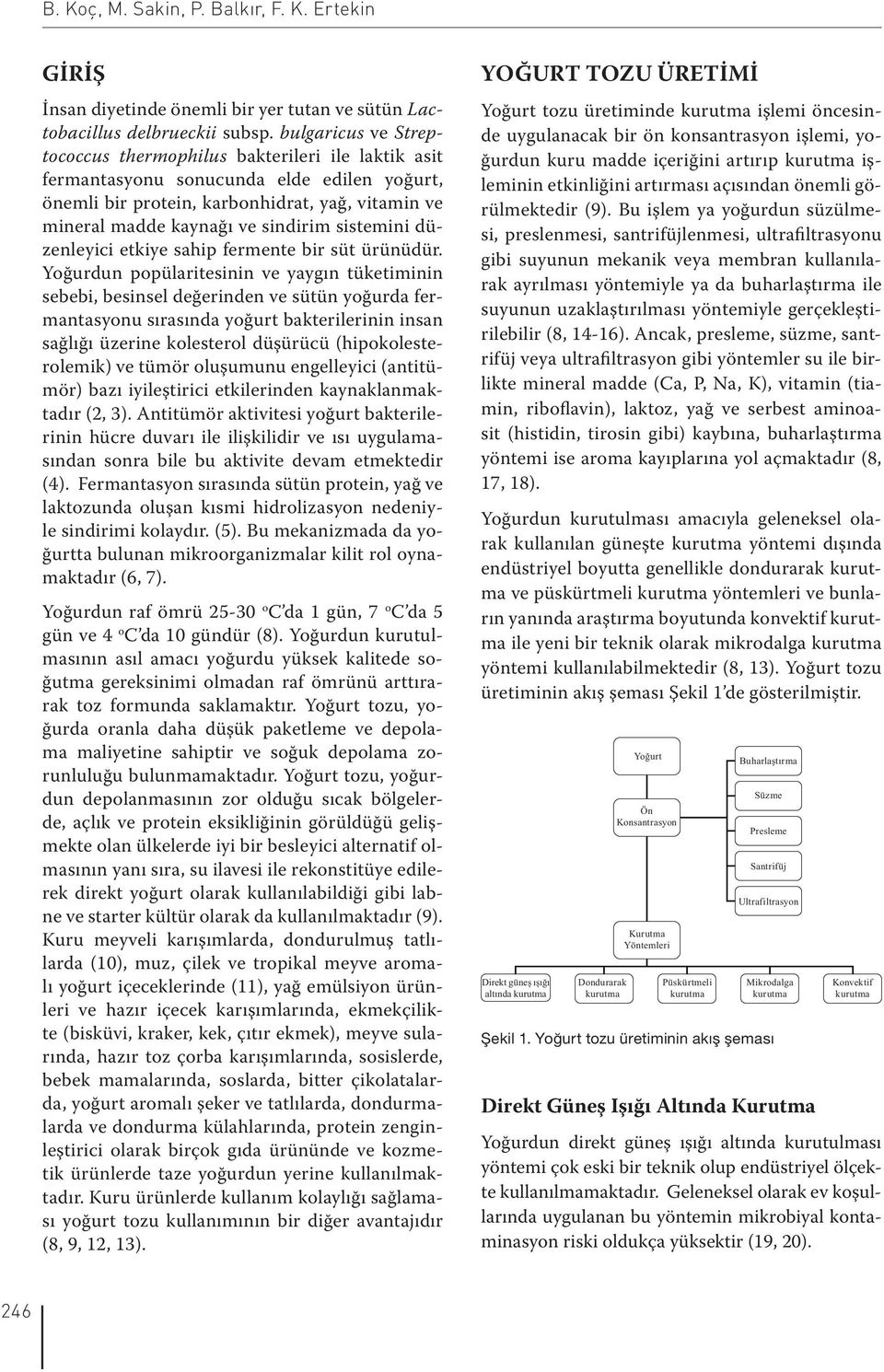 sistemini düzenleyici etkiye sahip fermente bir süt ürünüdür.