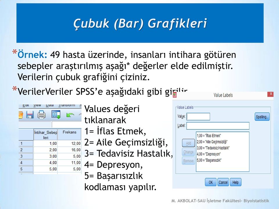 *VerilerVeriler SPSS e aşağıdaki gibi girilir.