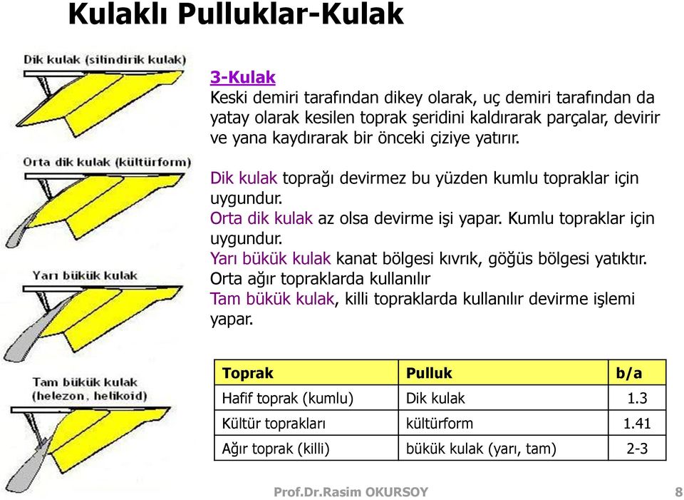 Kumlu topraklar için uygundur. Yarı bükük kulak kanat bölgesi kıvrık, göğüs bölgesi yatıktır.