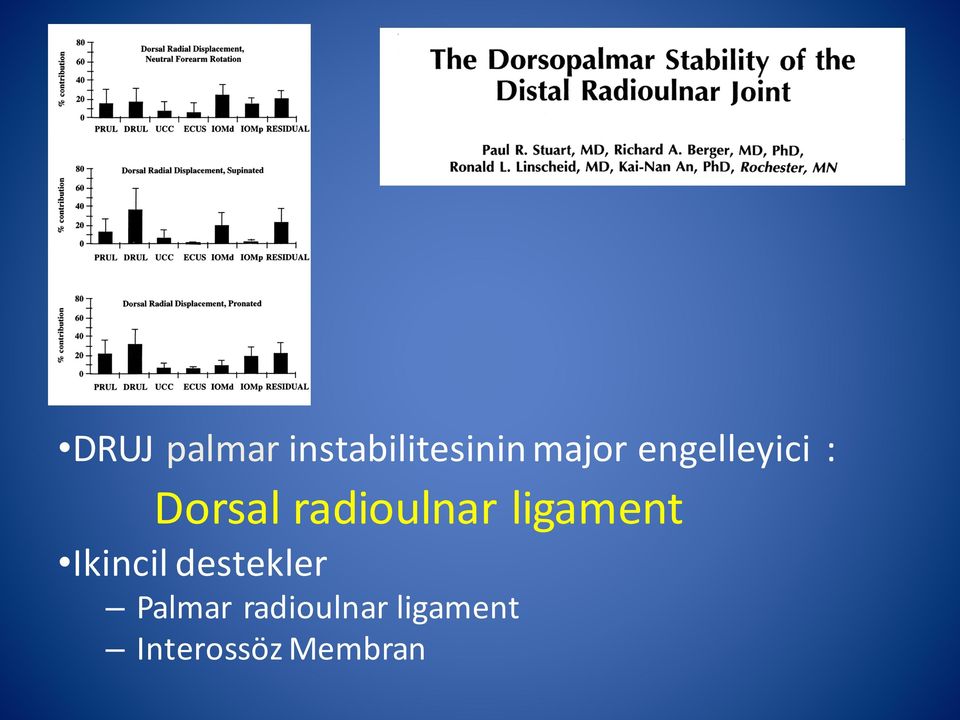 ligament Ikincil destekler Palmar