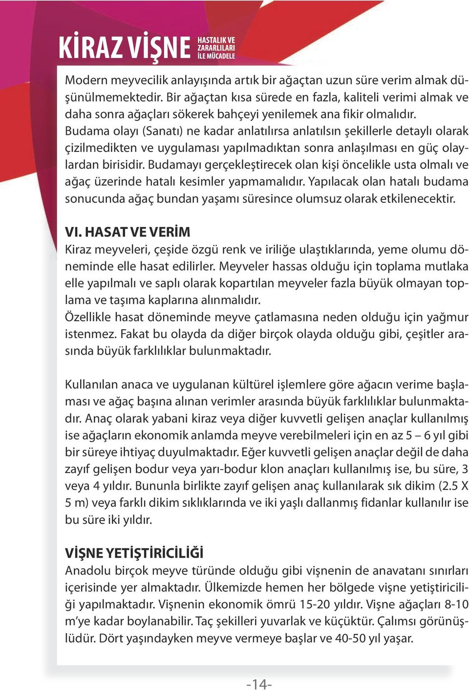 Budama olayı (Sanatı) ne kadar anlatılırsa anlatılsın şekillerle detaylı olarak çizilmedikten ve uygulaması yapılmadıktan sonra anlaşılması en güç olaylardan birisidir.