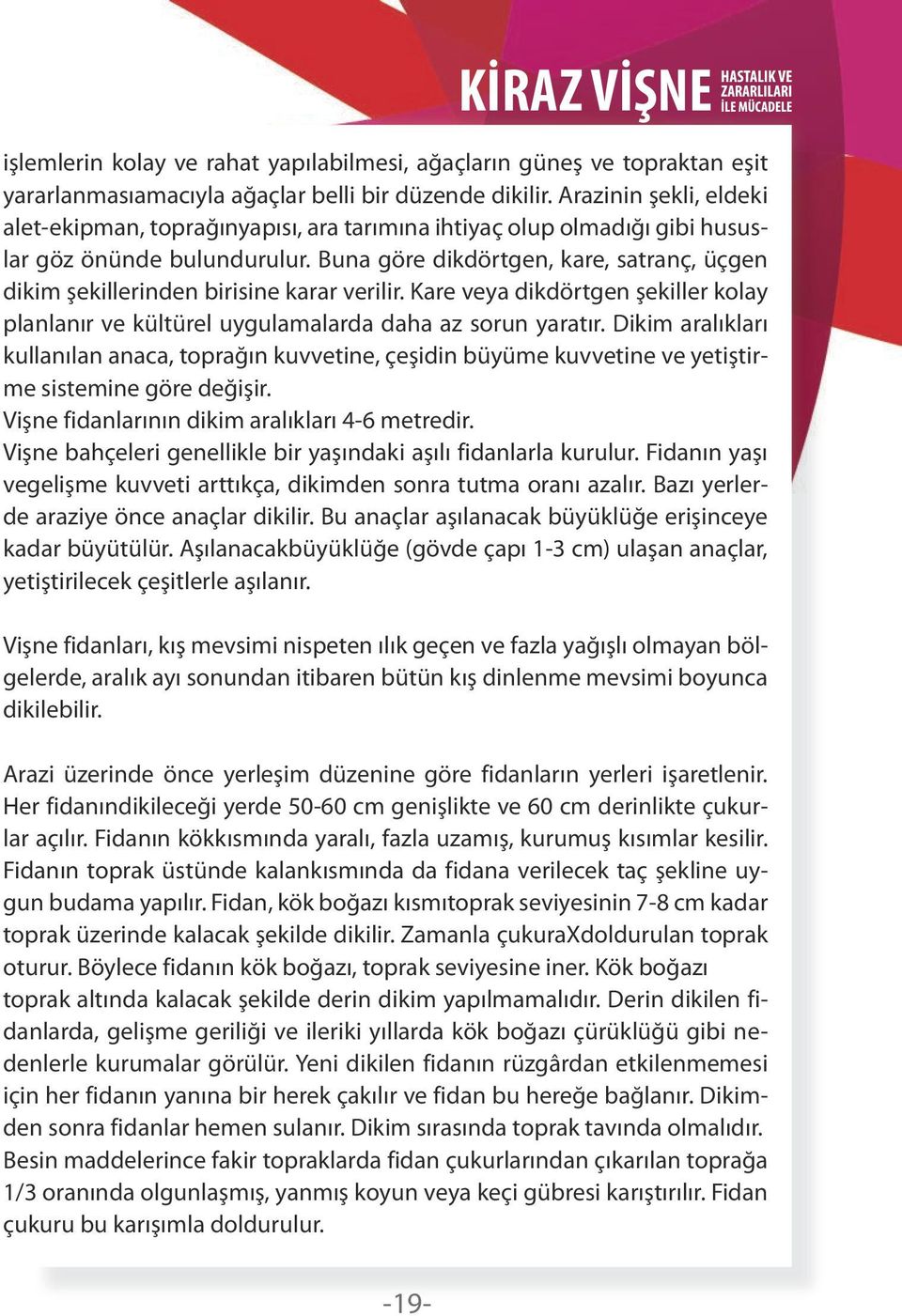 Buna göre dikdörtgen, kare, satranç, üçgen dikim şekillerinden birisine karar verilir. Kare veya dikdörtgen şekiller kolay planlanır ve kültürel uygulamalarda daha az sorun yaratır.