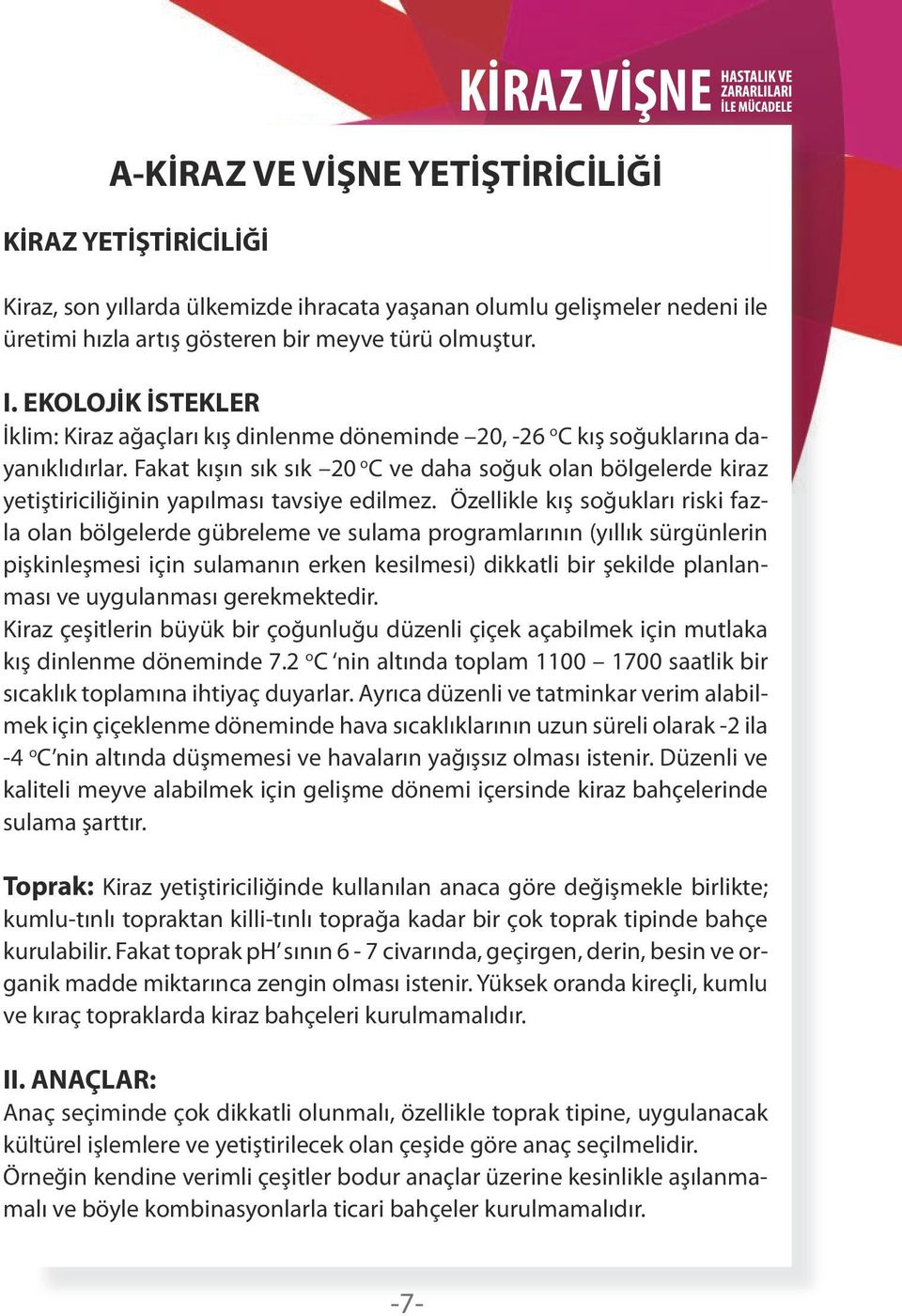 Fakat kışın sık sık 20 o C ve daha soğuk olan bölgelerde kiraz yetiştiriciliğinin yapılması tavsiye edilmez.