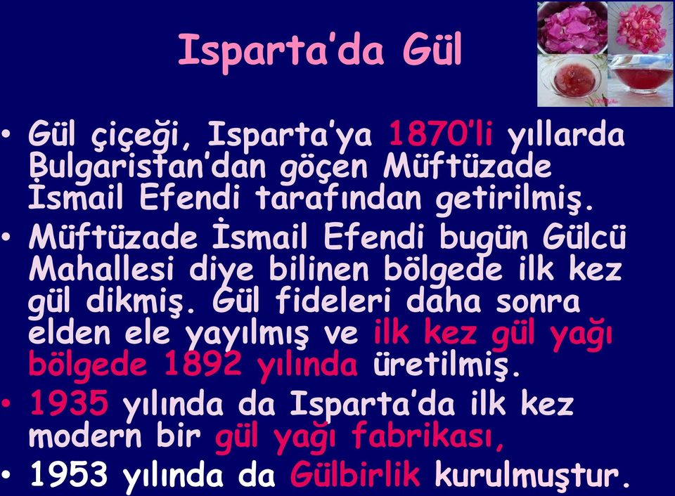 Müftüzade Ġsmail Efendi bugün Gülcü Mahallesi diye bilinen bölgede ilk kez gül dikmiģ.