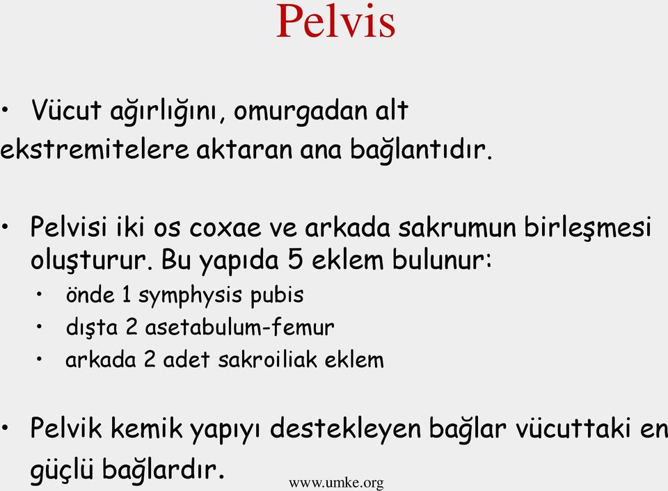 Bu yapıda 5 eklem bulunur: önde 1 symphysis pubis dıģta 2 asetabulum-femur