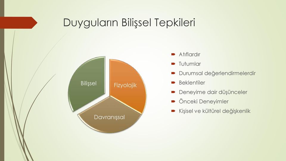 Durumsal değerlendirmelerdir Beklentiler Deneyime