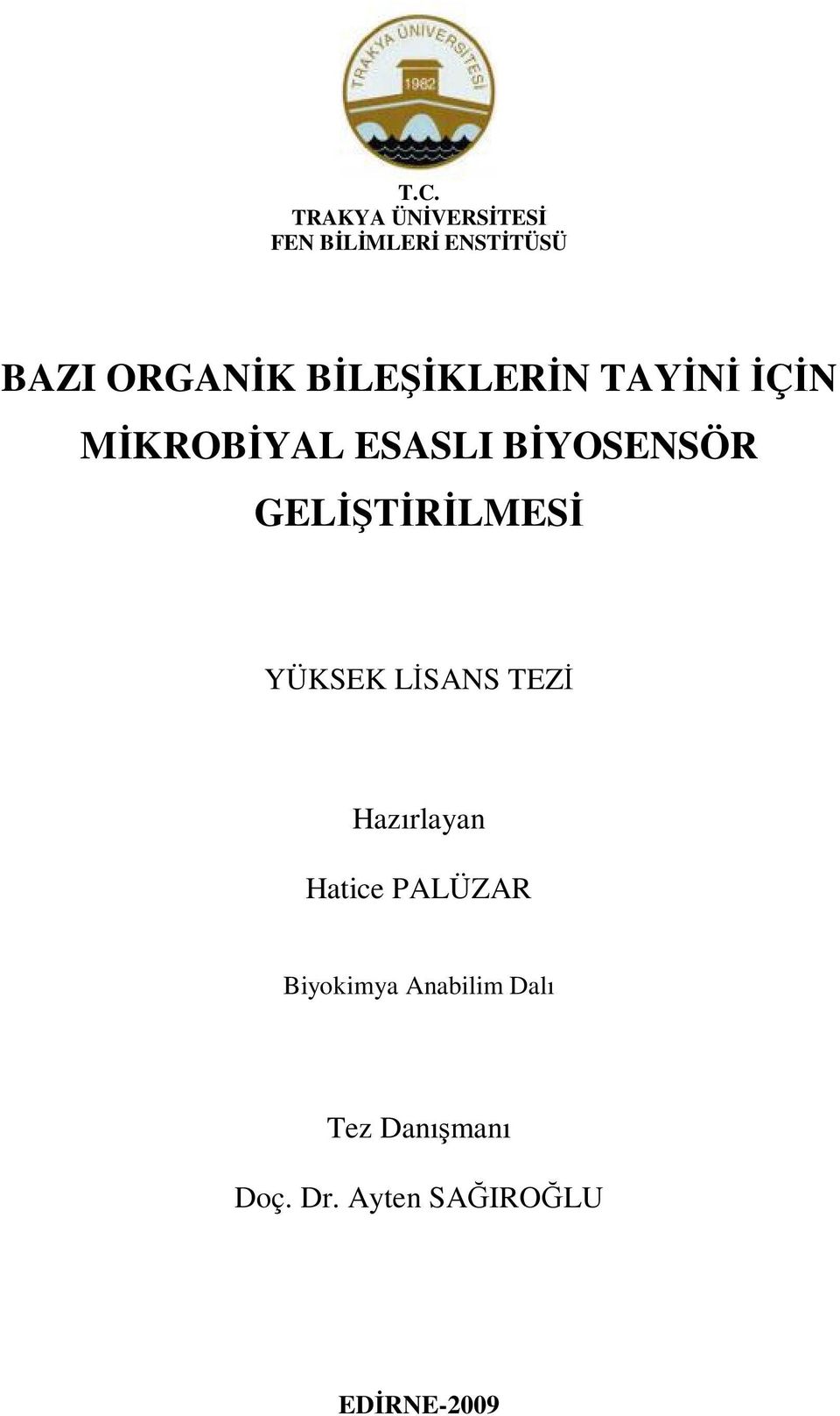 GELİŞTİRİLMESİ YÜKSEK LİSANS TEZİ Hazırlayan Hatice PALÜZAR