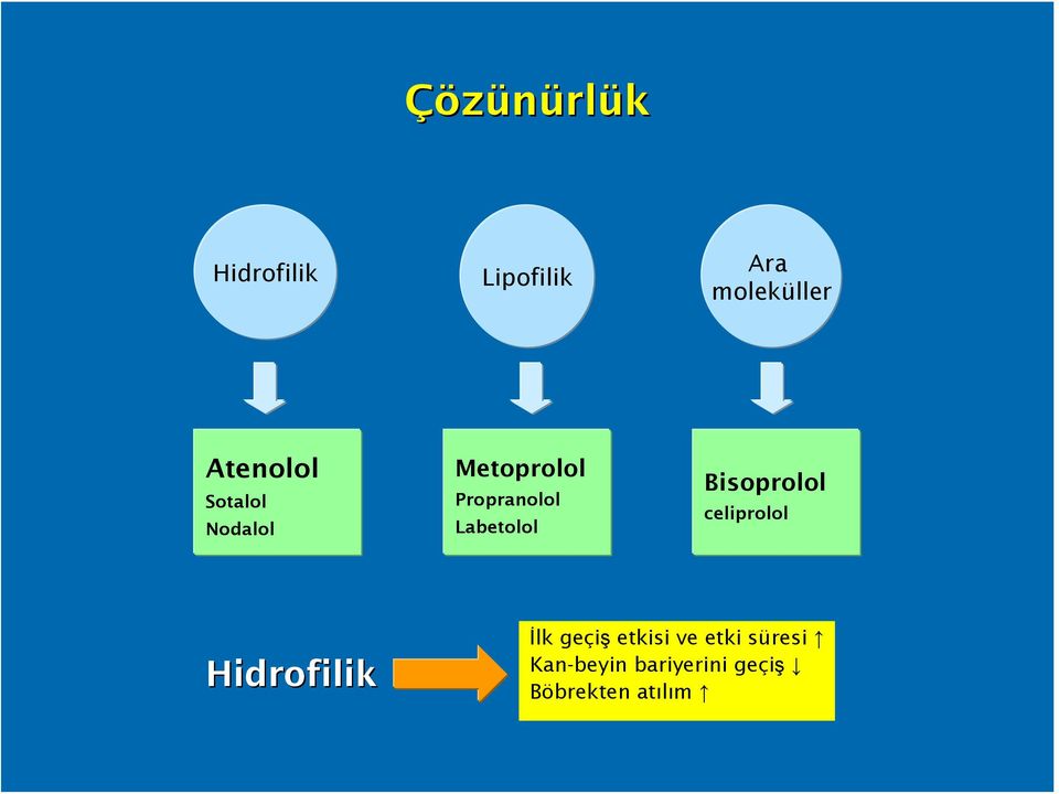 Labetolol Bisoprolol celiprolol Hidrofilik İlk geçiş