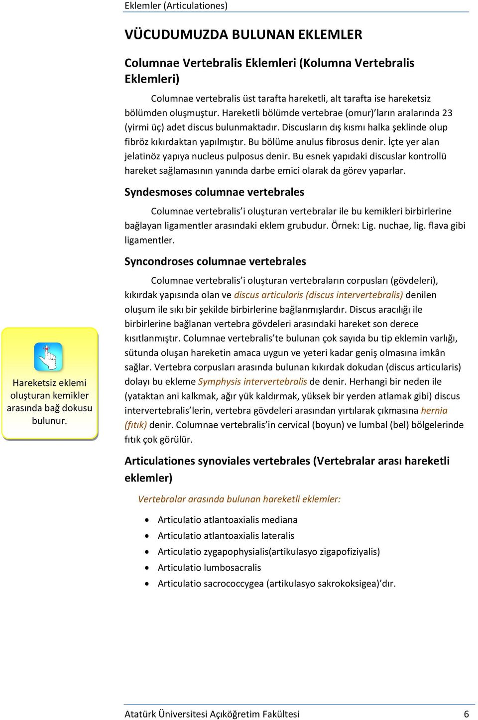 İçte yer alan jelatinöz yapıya nucleus pulposus denir. Bu esnek yapıdaki discuslar kontrollü hareket sağlamasının yanında darbe emici olarak da görev yaparlar.