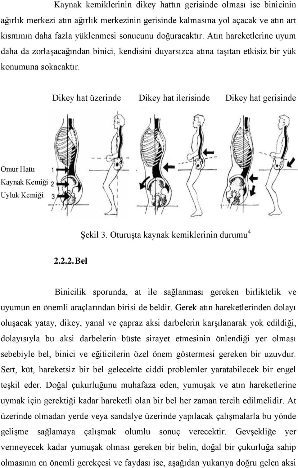 Dikey hat üzerinde Dikey hat ilerisinde Dikey hat gerisinde Omur Hattı Kaynak Kemiği Uyluk Kemiği Şekil 3. Oturuşta kaynak kemiklerinin durumu 4 2.