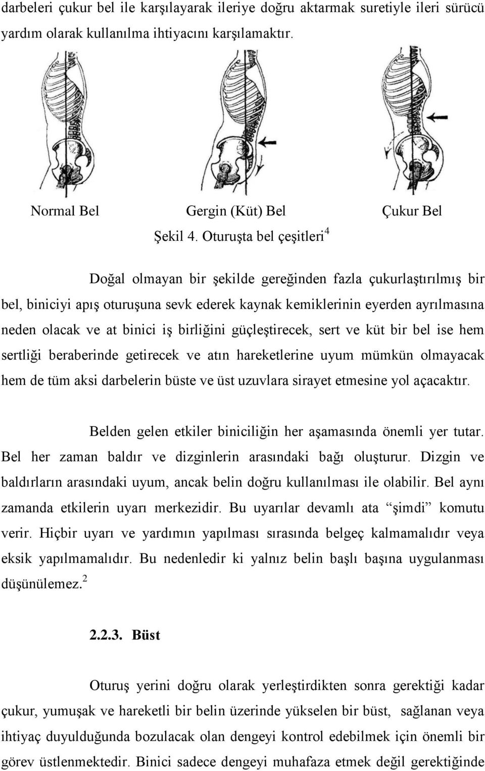 birliğini güçleştirecek, sert ve küt bir bel ise hem sertliği beraberinde getirecek ve atın hareketlerine uyum mümkün olmayacak hem de tüm aksi darbelerin büste ve üst uzuvlara sirayet etmesine yol