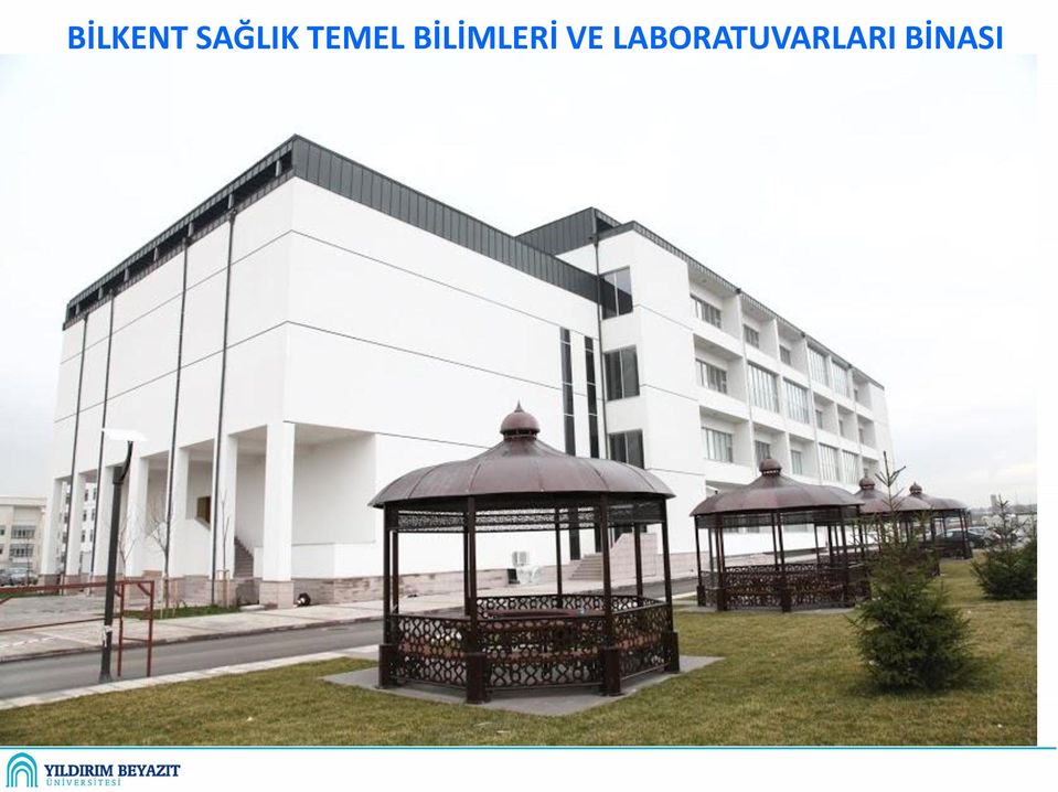 BİLİMLERİ VE