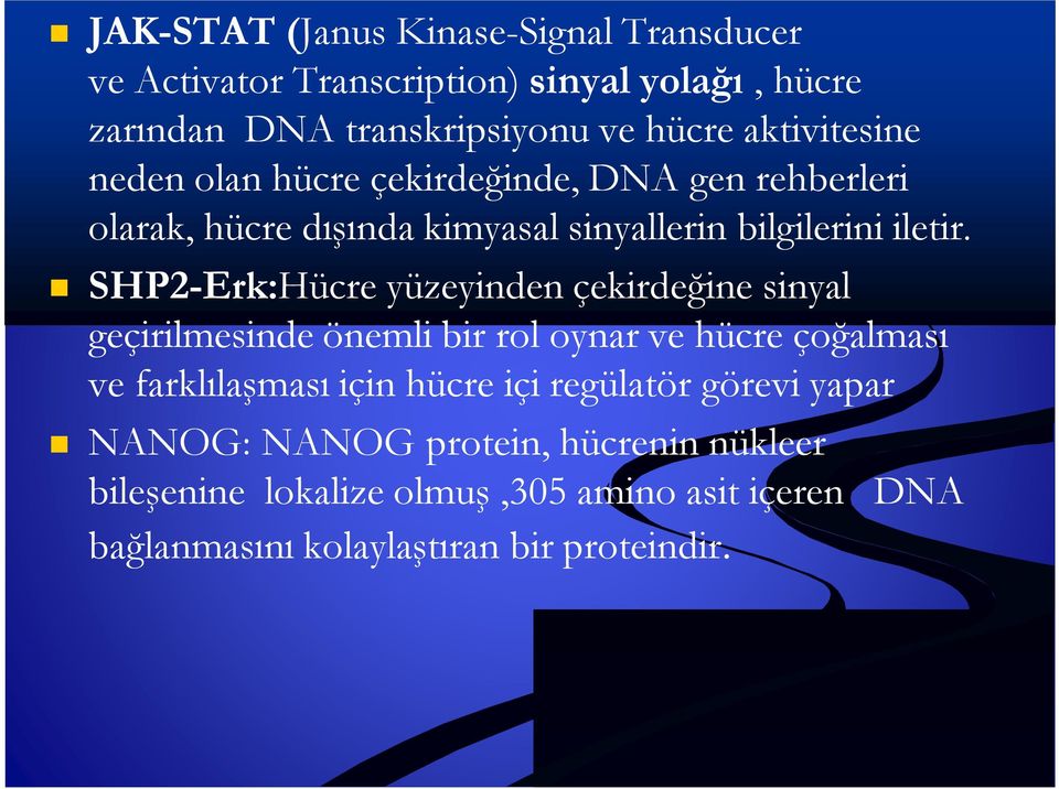 SHP2-Erk:Hücre yüzeyinden çekirdeğine sinyal geçirilmesinde önemli bir rol oynar ve hücre çoğalması ve farklılaşması için hücre içi