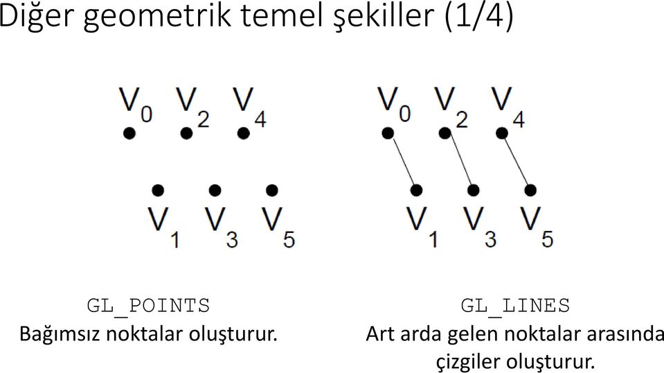 oluşturur.