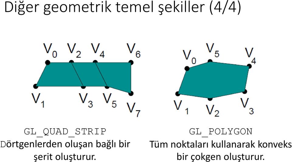 bir şerit oluşturur.