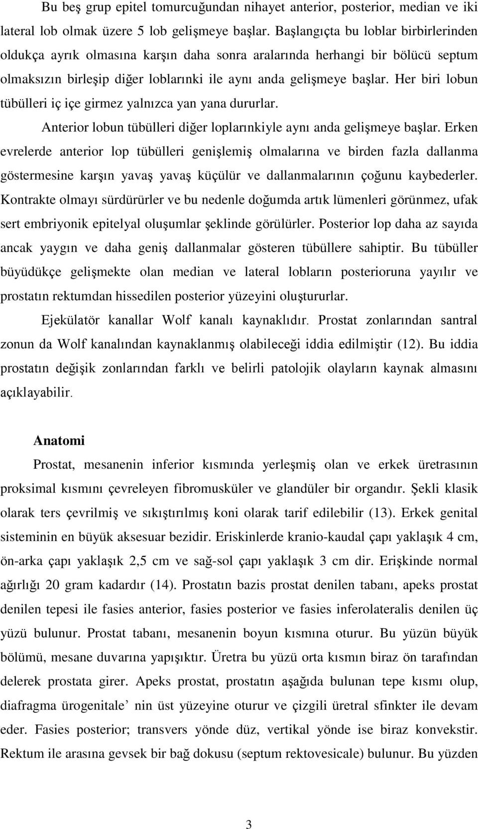 Her biri lobun tübülleri iç içe girmez yalnızca yan yana dururlar. Anterior lobun tübülleri diğer loplarınkiyle aynı anda gelişmeye başlar.