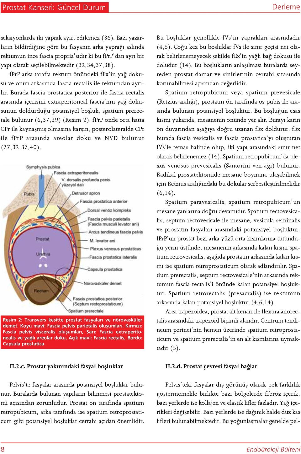 fprp arka tarafta rektum önündeki fex in yağ dokusu ve onun arkasında fascia rectalis ile rektumdan ayrılır.