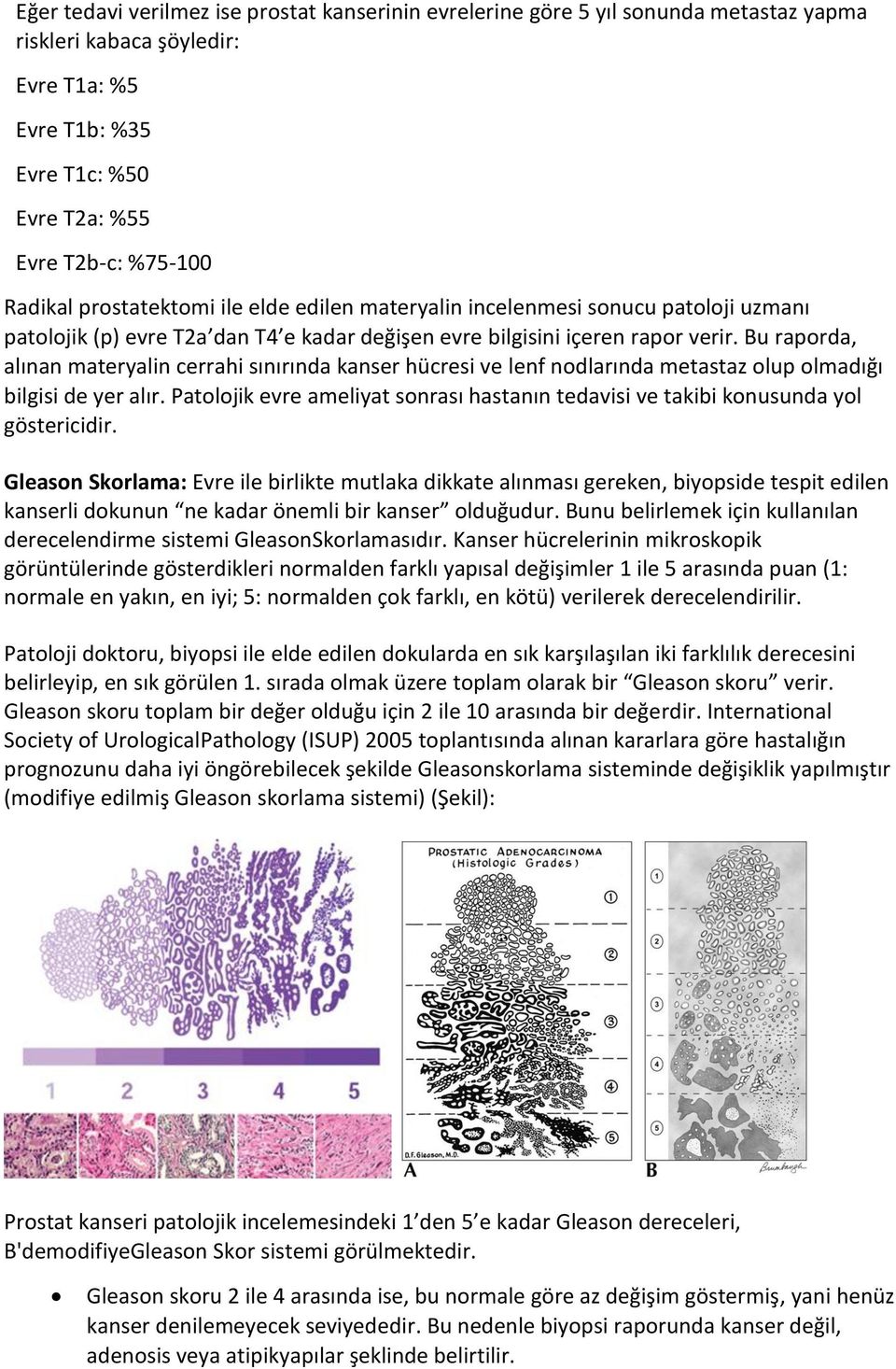 Bu raporda, alınan materyalin cerrahi sınırında kanser hücresi ve lenf nodlarında metastaz olup olmadığı bilgisi de yer alır.