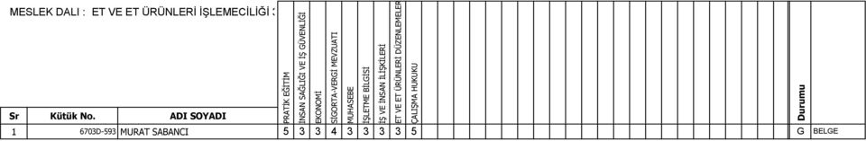 DÜZENLEMELERİ 1 6703D-593 MURAT