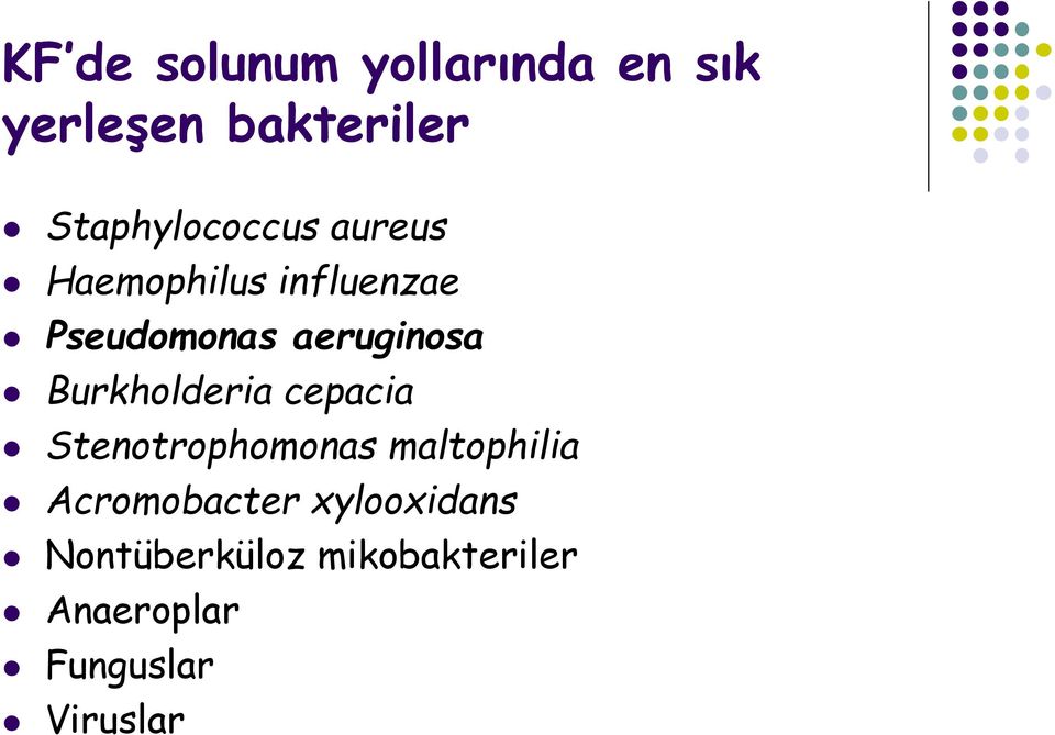 aeruginosa Burkholderia cepacia Stenotrophomonas maltophilia