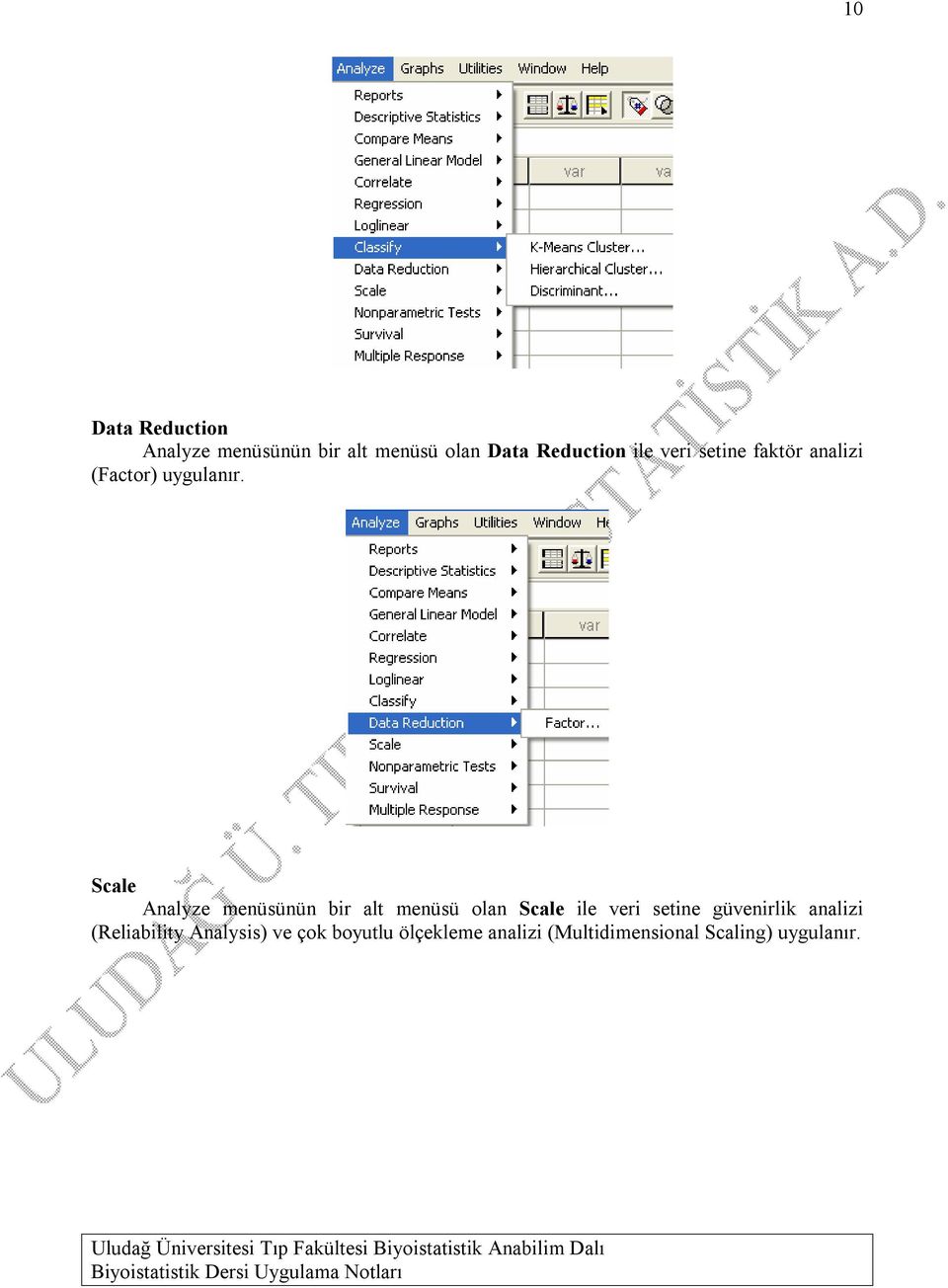 Scale Analyze menüsünün bir alt menüsü olan Scale ile veri setine