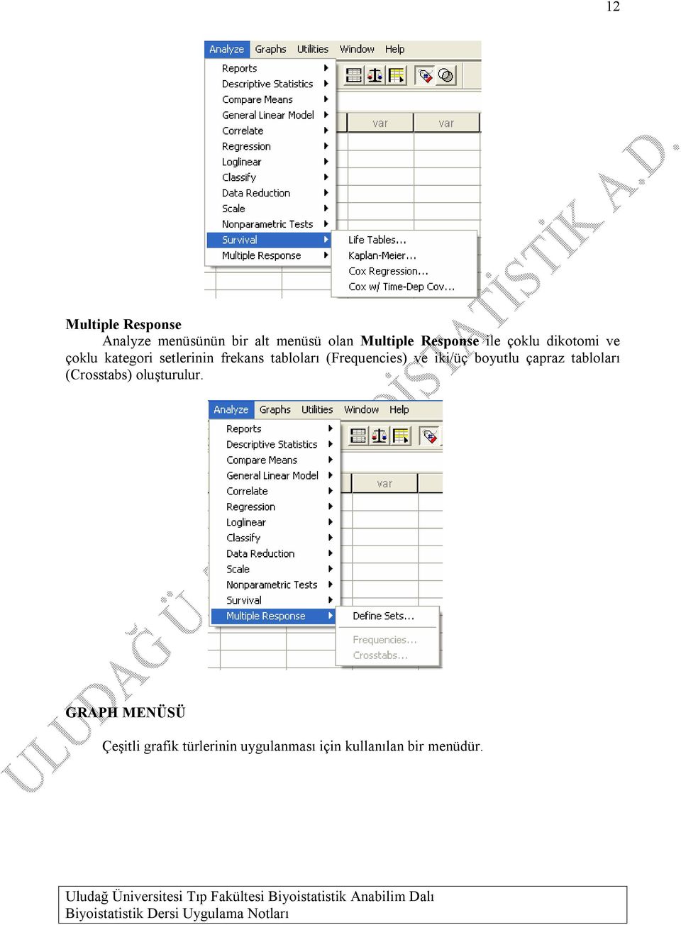 tabloları (Frequencies) ve iki/üç boyutlu çapraz tabloları (Crosstabs)