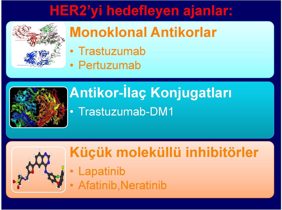 MEKANİZMALARI Antikor-İlaç Konjugatları Trastuzumab-DM1